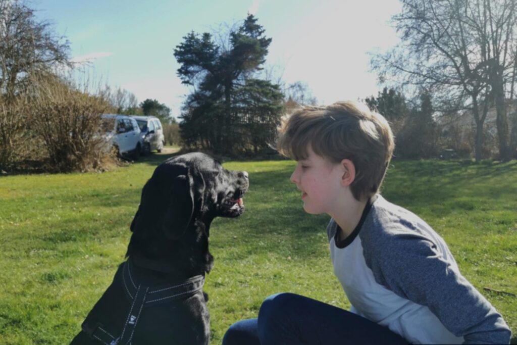 Langeland feriehus - Ferien auf Langeland mit Hund im Ferienhaus.